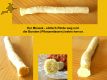 Miswak, die Naturzahnbrste natural, ca.20cm